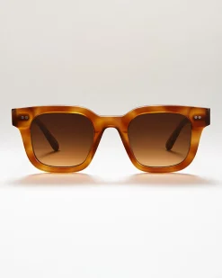 Chimi 04 Tortoise