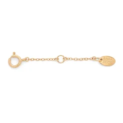 Delicate Chain Extender Gold