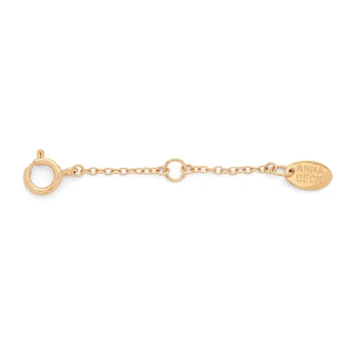 Delicate Chain Extender Gold