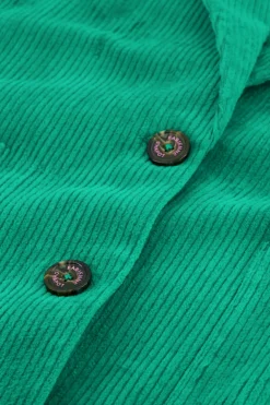 Leonard Blazer Feeling Green