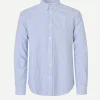 Saliam BX Shirt Oxford Narrow